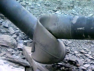 823833_20060122132407.jpg