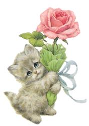 kitten_rose.jpg