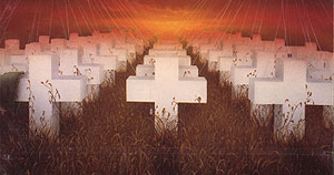 disk031.jpg