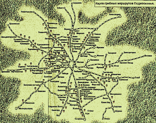Mapmashrooms.gif