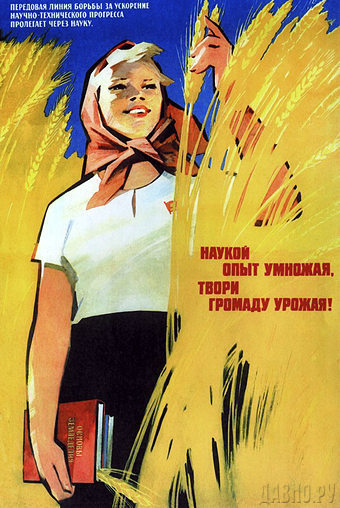 poster_01_81.jpg