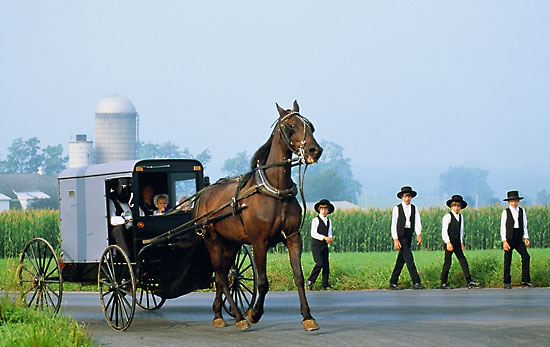 amish.jpg