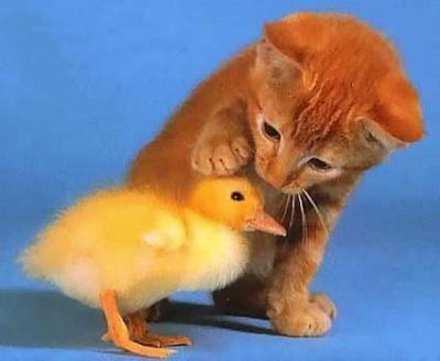 post_20_1150551140.jpg