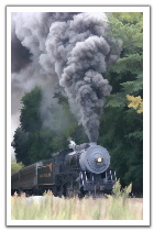 0511101557171picture_027_buzz_thumbnail1_t.jpg