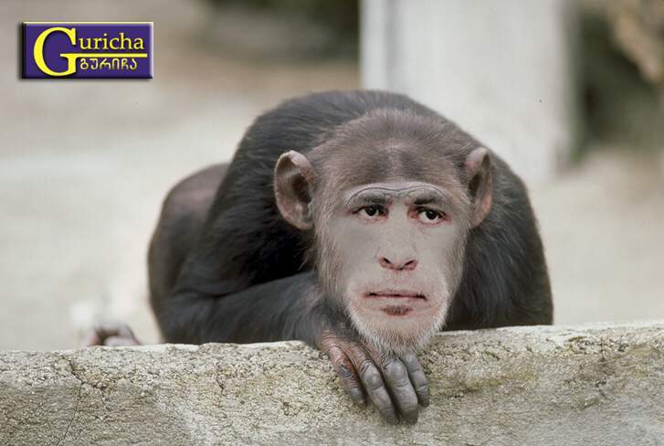misha_makaka.jpg