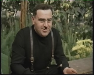 aravidzre.jpg