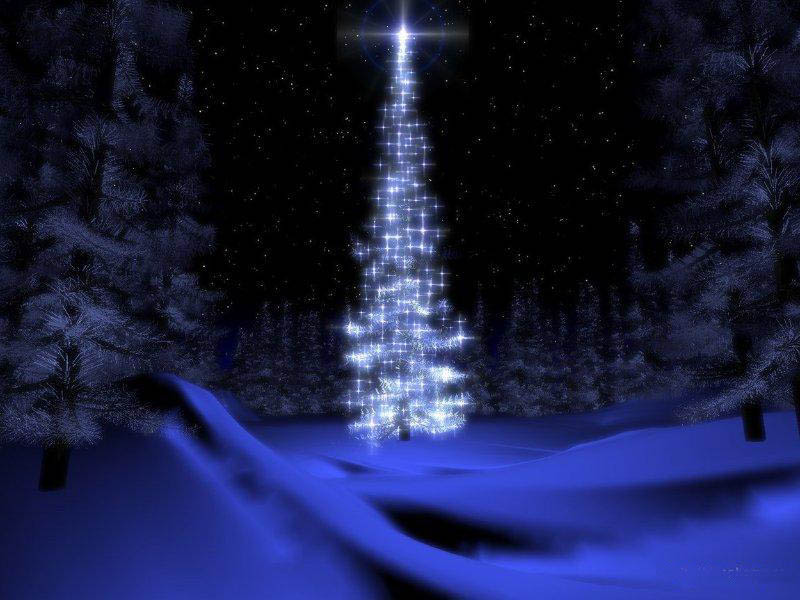 wallpaper2___Winter__.jpg