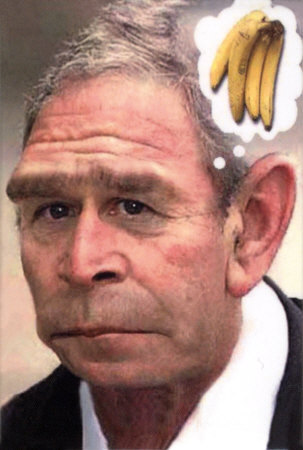 George_W_Bush___Monkey.jpg
