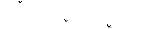 137928_chitebi.gif