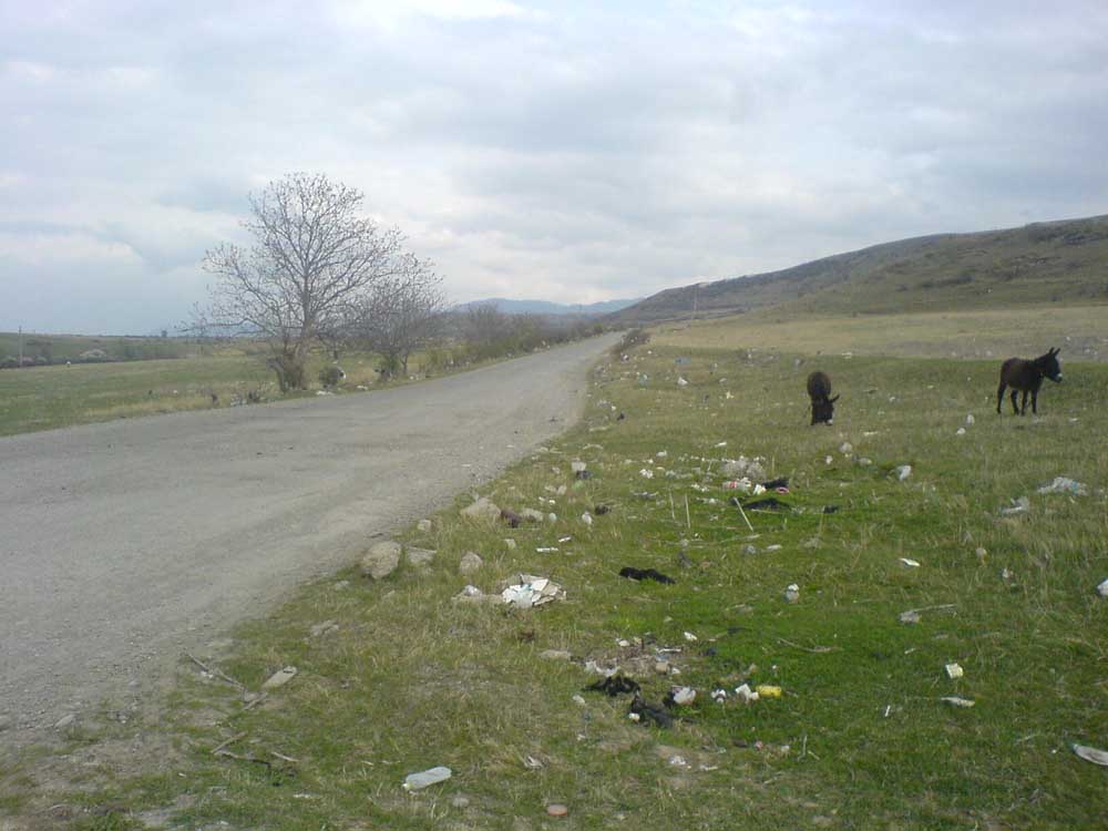 DSC07957_copy.jpg