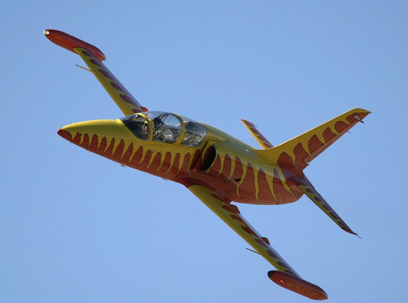 Airshowfan_dot_com__by_Bernardo_Malfitano__Image_of_L39_at_Santa_Rosa_airshow.jpg