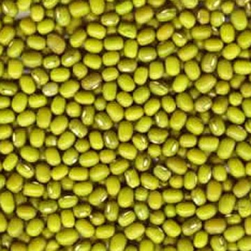 green___mung_beans.jpg