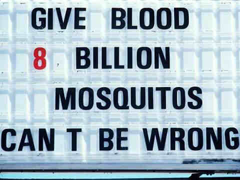mosquito.jpg