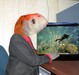human_fish.jpg