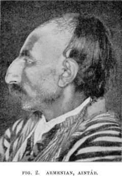 240px_Armenian.jpg