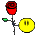 rosa.gif