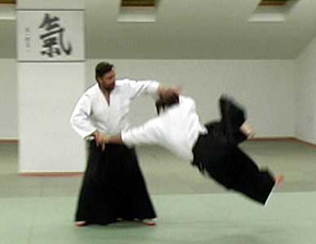 aikido2.jpg