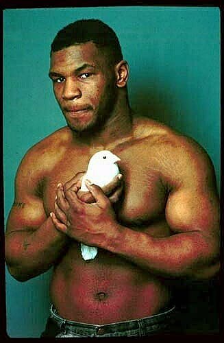 mike_20tyson_20pigeon.jpg