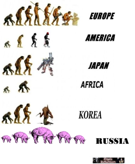 Untitled.jpg