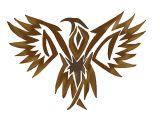 616703_3_stencil_hawk.jpg