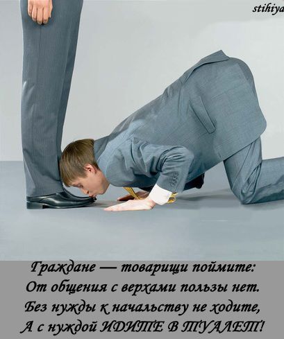 img_14836340_877_0.jpg