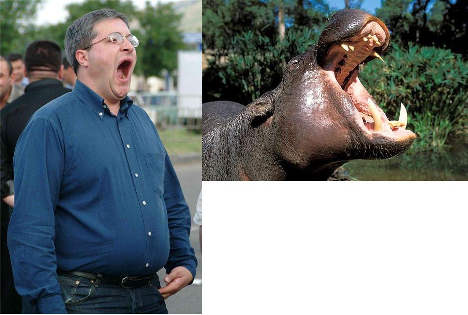 Givi.jpg