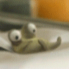 post_29_1232747636.gif