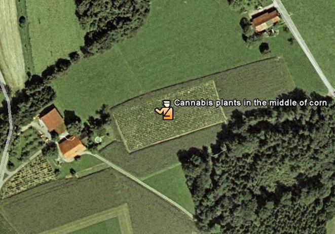 planis_kustebi.JPG
