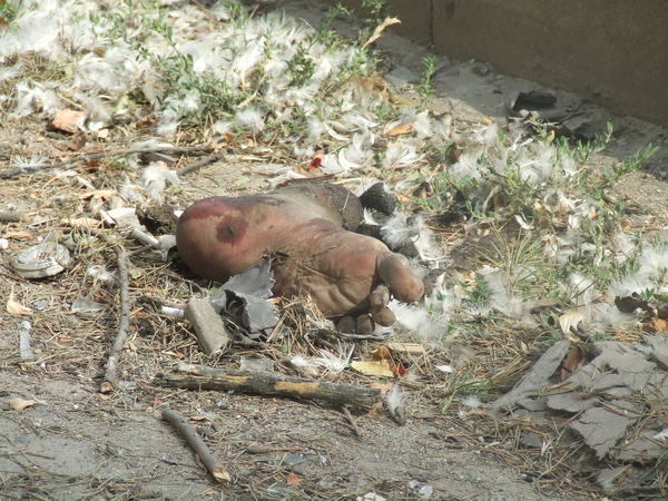 DSCF5304.JPG