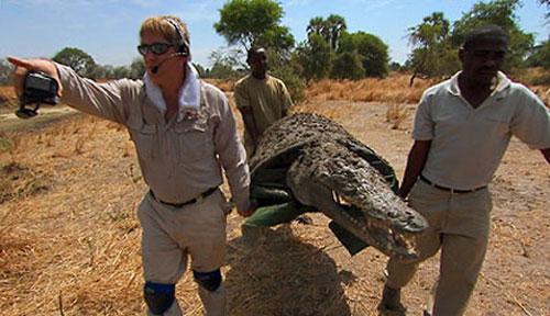 croc2.jpg