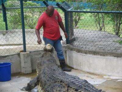 Langkawi_two__65_.JPG