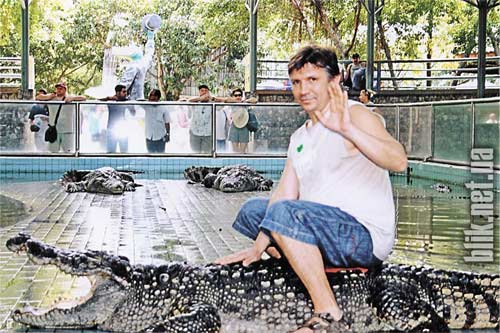 croc3.jpg