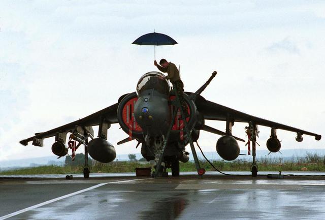 UK_Harrier_6.jpg