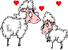 schapen19.gif