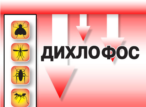 1637840015.jpg