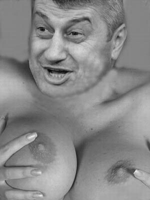 siske1.jpg