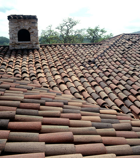 cherepiza09.jpg
