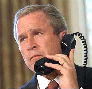 bush.jpg