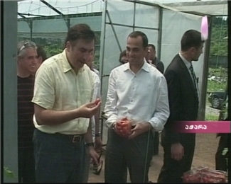 pop_up_img_1_.jpg
