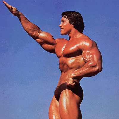 arnold_schwarzenegger.jpg
