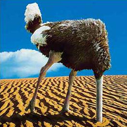 ostrich_head_sand2.gif.jpeg