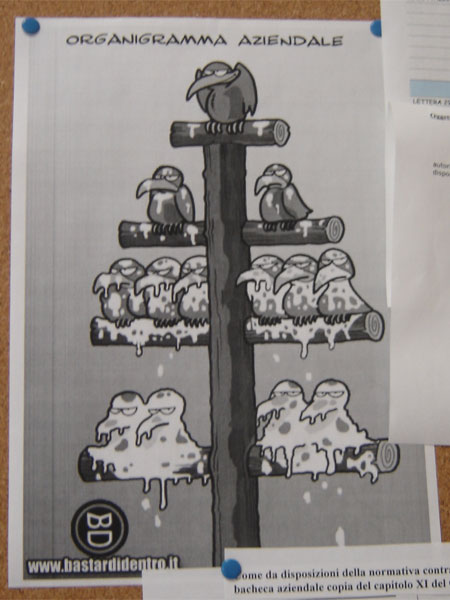 organigramma.jpg