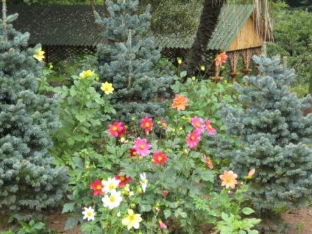 summer2009_138.jpg