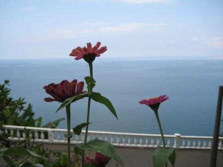 summer2009_129.jpg