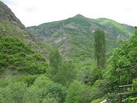 IMG_0173.jpg