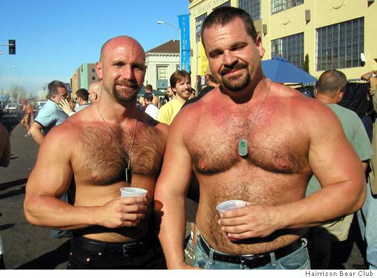 bears_bear3.jpg
