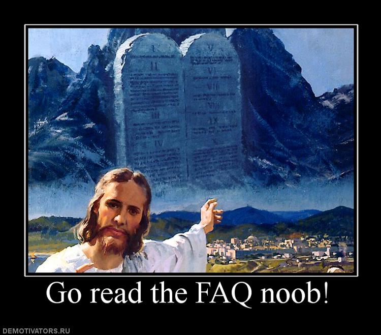 530486_go_read_the_faq_noob.jpg