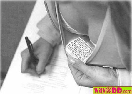 funny_pictures_best_way_to_cheat_ap.jpg