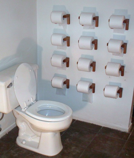 toilet_paper_toilet.jpg