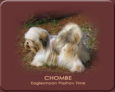 _Chombe.jpg